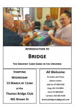 Come and learn bridge
